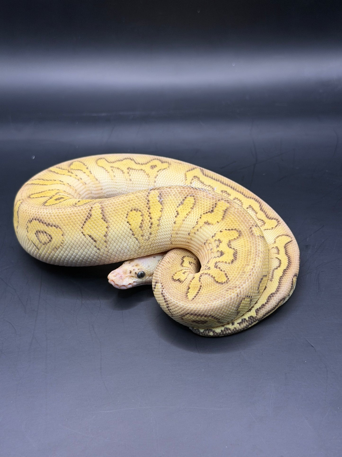 pastel stranger clown hembra