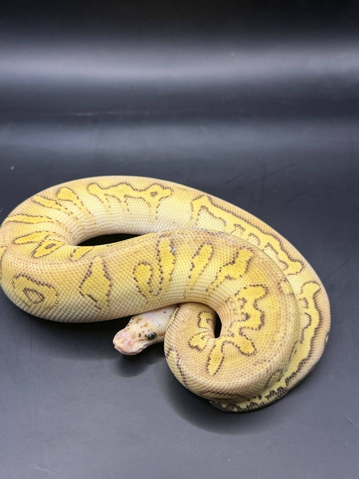 pastel stranger clown hembra