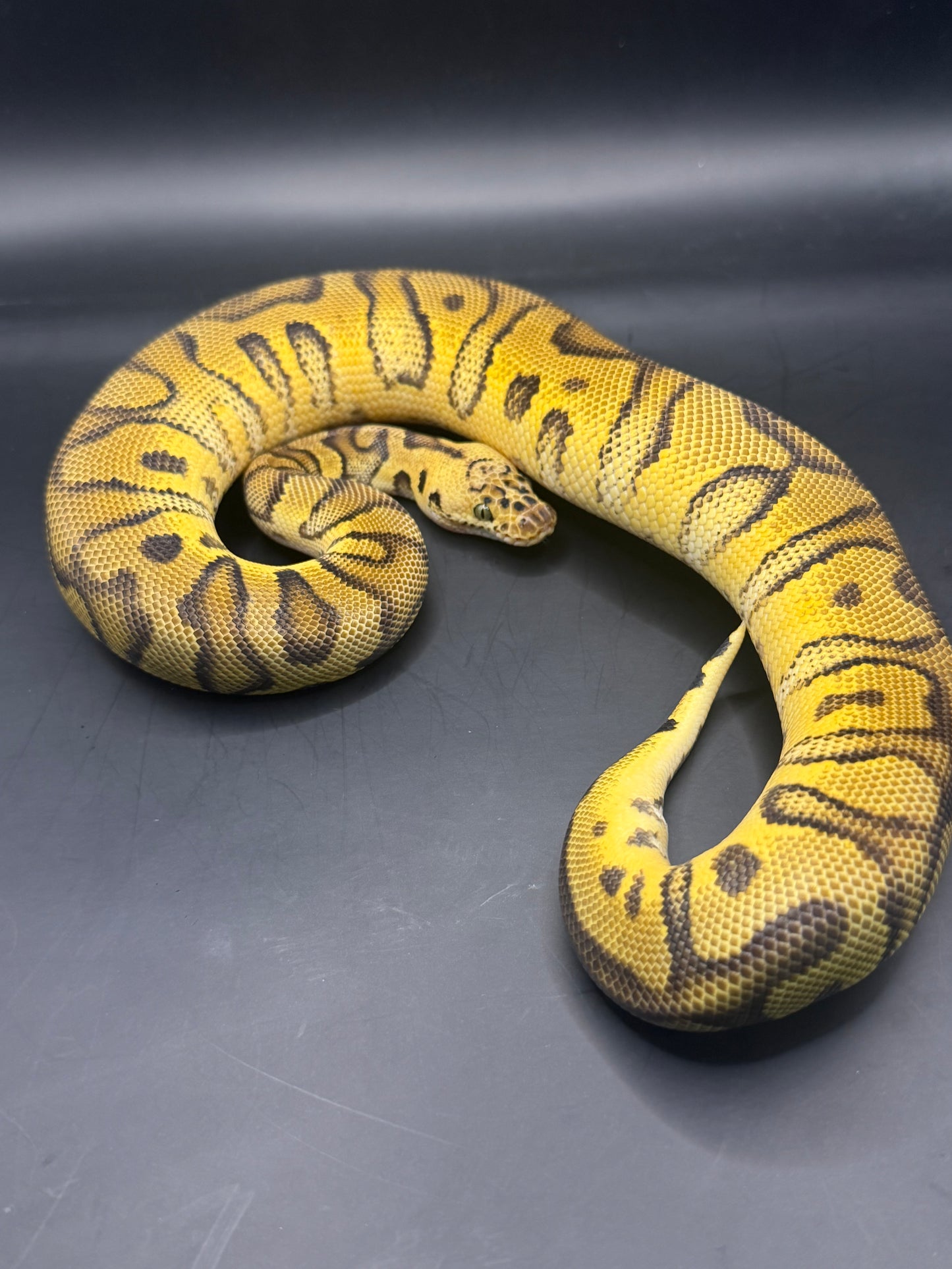 Pastel enchi stranger clown +300gr macho