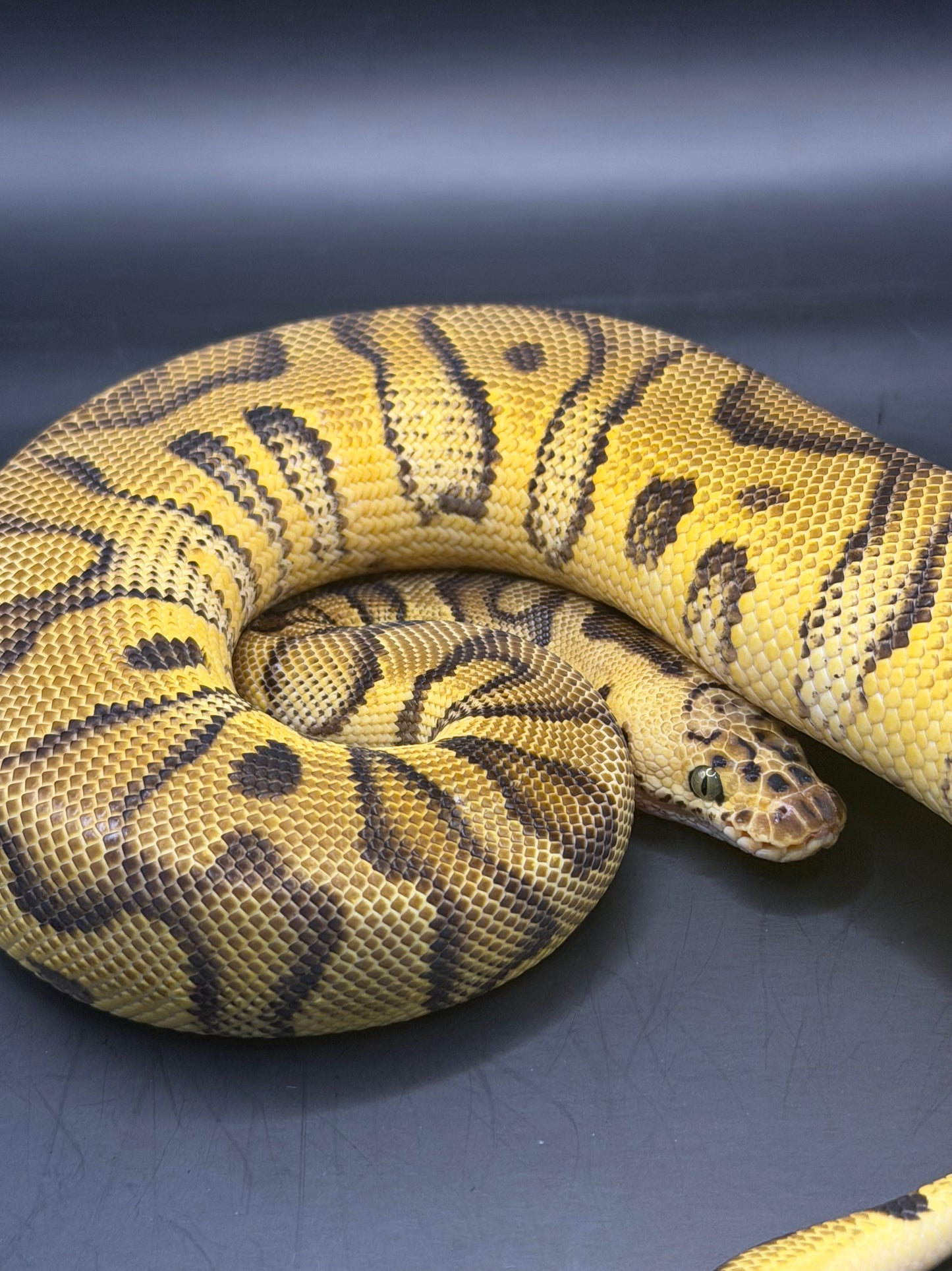 Pastel enchi stranger clown +300gr macho