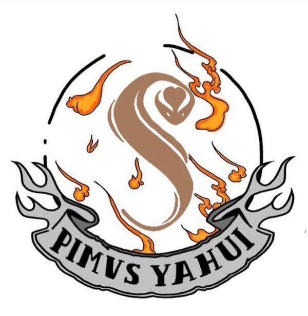 PIMVS YAHUI